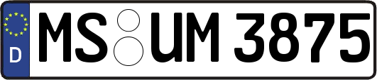 MS-UM3875