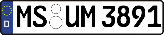 MS-UM3891