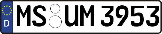 MS-UM3953