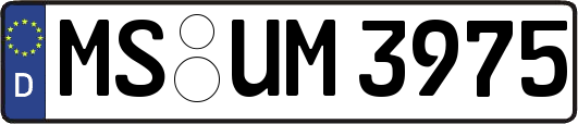 MS-UM3975