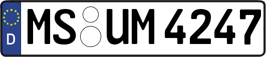 MS-UM4247