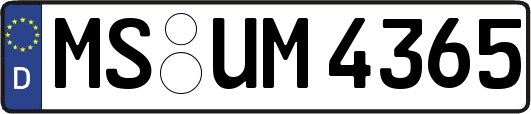 MS-UM4365