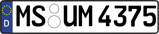 MS-UM4375