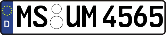 MS-UM4565