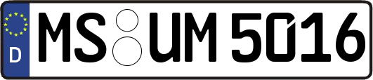 MS-UM5016