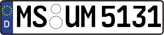 MS-UM5131