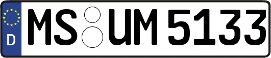MS-UM5133