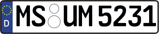 MS-UM5231