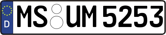 MS-UM5253