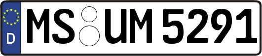 MS-UM5291
