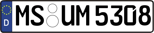 MS-UM5308