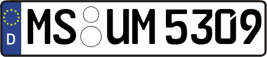 MS-UM5309