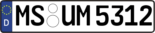 MS-UM5312