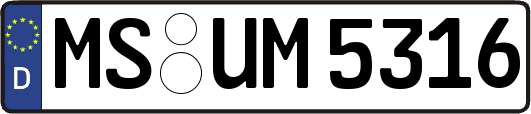 MS-UM5316