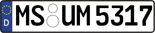 MS-UM5317