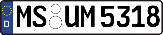MS-UM5318