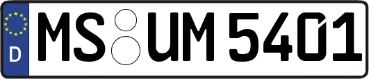 MS-UM5401