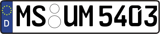 MS-UM5403
