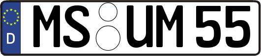 MS-UM55