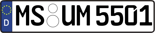 MS-UM5501