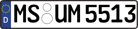 MS-UM5513