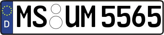 MS-UM5565