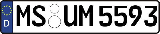 MS-UM5593