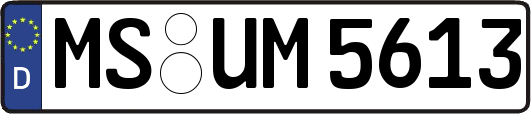 MS-UM5613