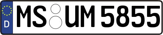 MS-UM5855