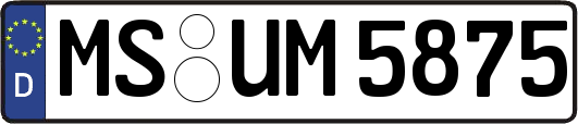 MS-UM5875
