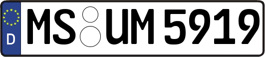 MS-UM5919