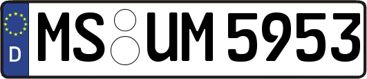 MS-UM5953