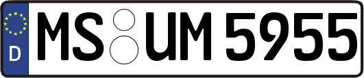 MS-UM5955