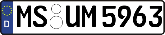 MS-UM5963