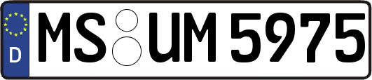 MS-UM5975