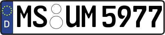 MS-UM5977