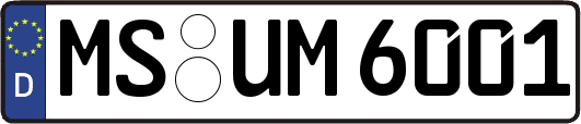 MS-UM6001