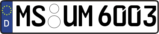 MS-UM6003