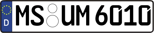 MS-UM6010