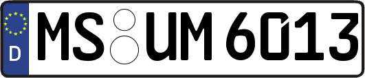 MS-UM6013