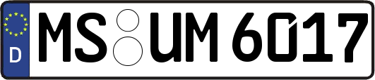 MS-UM6017