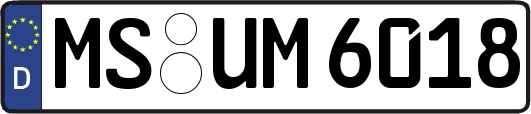 MS-UM6018