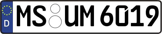 MS-UM6019