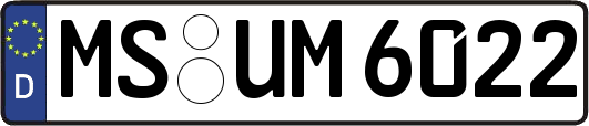 MS-UM6022
