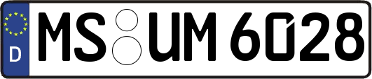 MS-UM6028