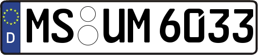 MS-UM6033