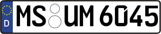 MS-UM6045