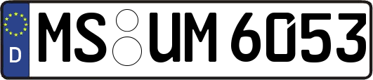 MS-UM6053