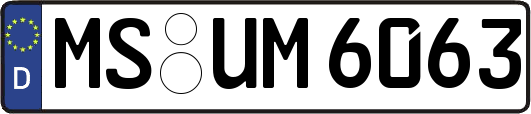 MS-UM6063