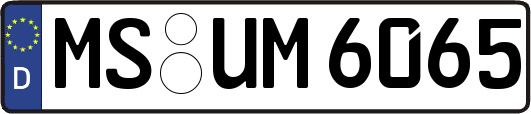 MS-UM6065